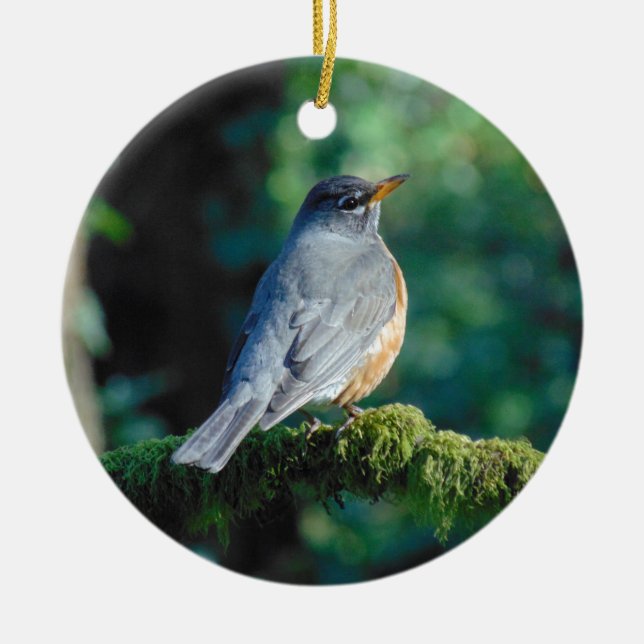 American Robin Ceramic Ornament (Front)
