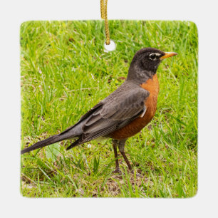 American Robin Ceramic Ornament