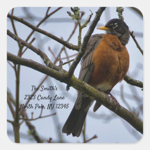 American Robin Change of Address Square Sticker