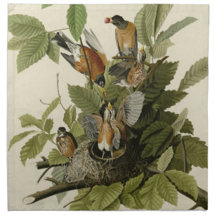 American Robin from Audubon's Birds of America Cloth Napkin