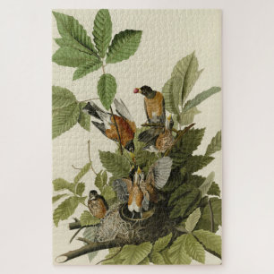 American Robin from Audubon's Birds of America Jigsaw Puzzle