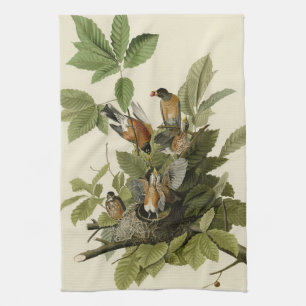 American Robin from Audubon's Birds of America Kitchen Towel