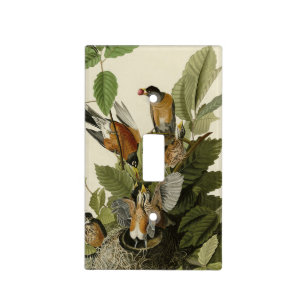 American Robin from Audubon's Birds of America Light Switch Cover