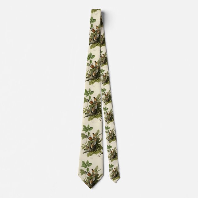 American Robin from Audubon's Birds of America Neck Tie (Front)