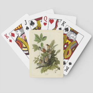 American Robin from Audubon's Birds of America Poker Cards