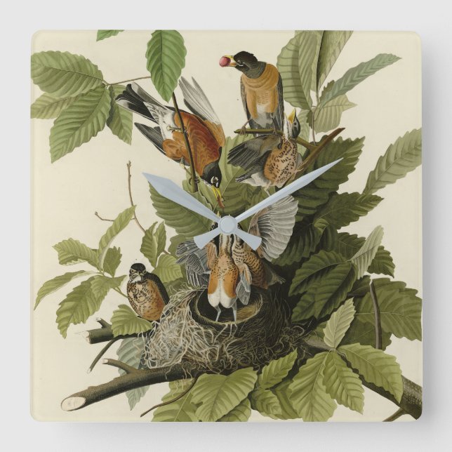 American Robin from Audubon's Birds of America Square Wall Clock (Front)