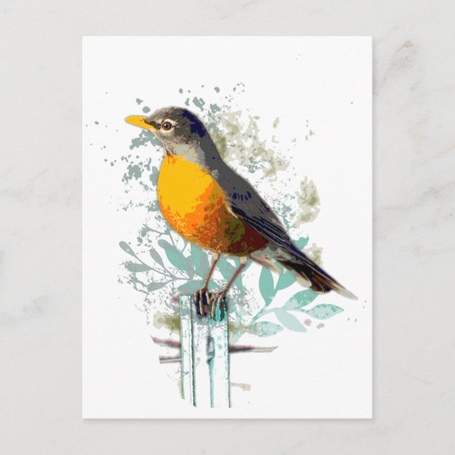 American Robin Garden Bird Wildlife Nature Art Postcard (Front)