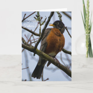 American Robin Happy Father's Day Card