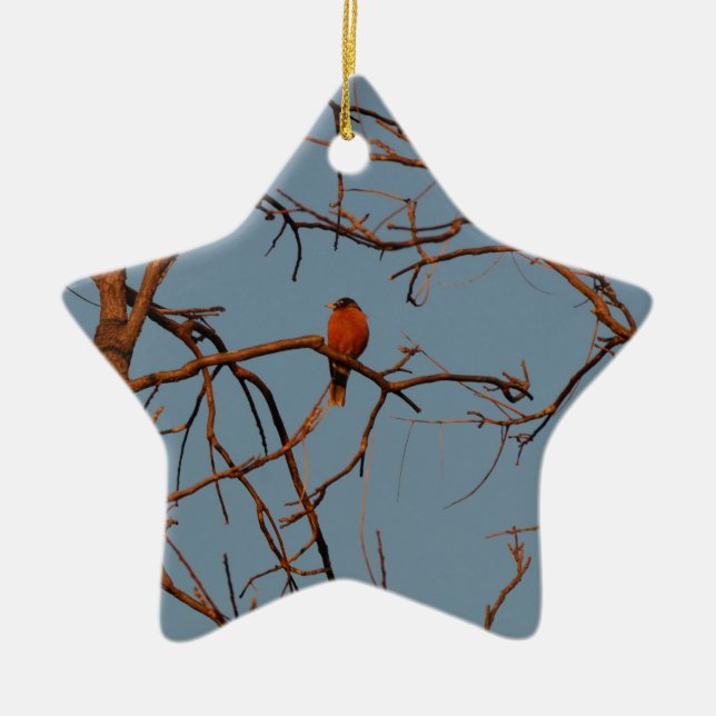 American Robin home to roost Ceramic Ornament (Front)