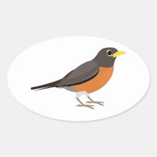 American Robin Illustration Oval Sticker