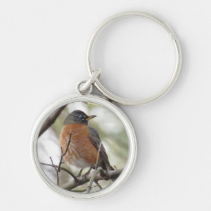 American Robin Key Chain