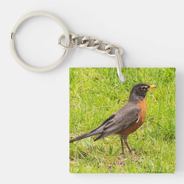 American Robin Keychain (Front)