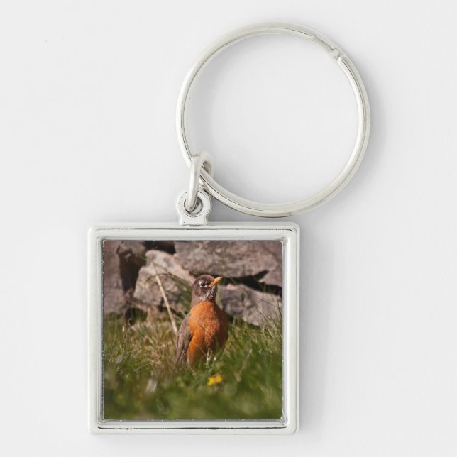 American Robin Keychain (Front)