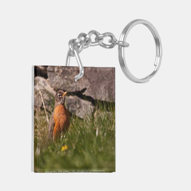 American Robin Keychain (Back Left)