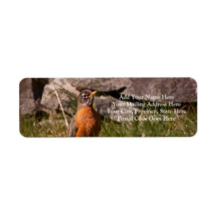 American Robin Label