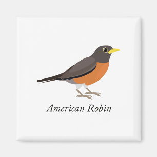 American Robin Magnet