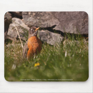 American Robin Mouse Pad