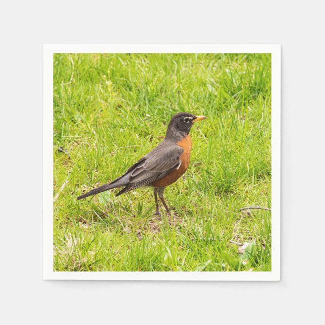 American Robin Napkins (Front)