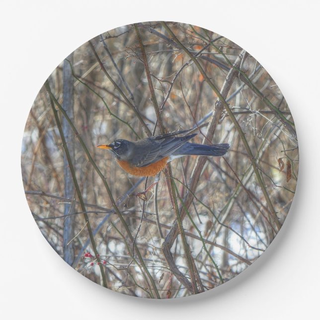 American Robin Paper Plates (Front)