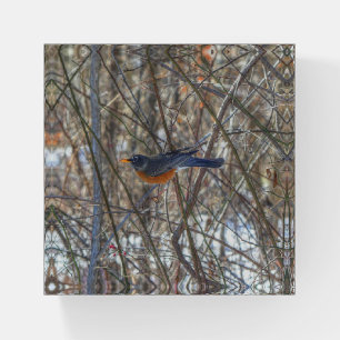 American Robin Paperweight