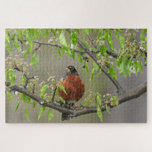 American Robin Perched on Branch wSpring Blooms Jigsaw Puzzle