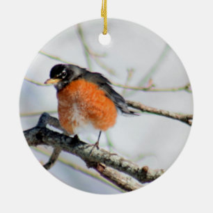 American robin photo ceramic ornament