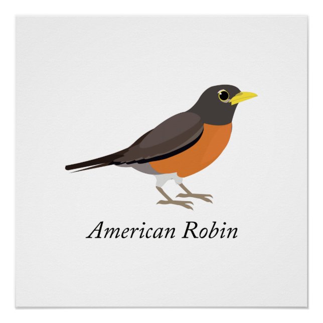 American Robin Poster (Front)