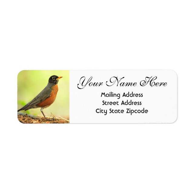 American Robin Return Address Label (Front)
