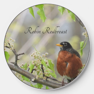 American Robin -Spring Blossoms Wireless Charger