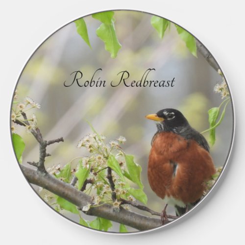 American Robin _Spring Blossoms Wireless Charger