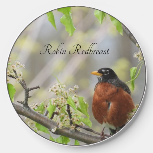 American Robin -Spring Blossoms Wireless Charger (Front)