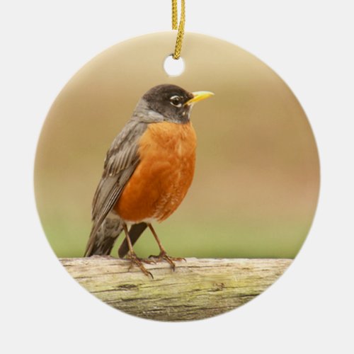 American Robin Standing Ceramic Ornament