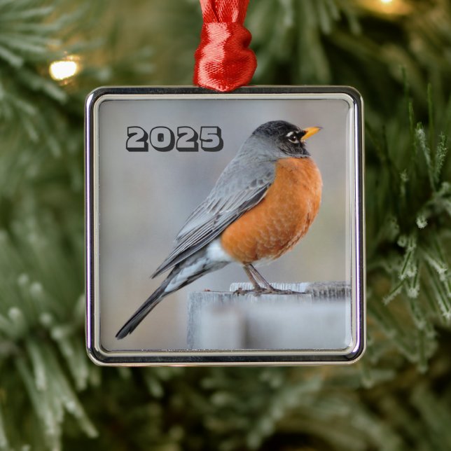 American Robin Standing on Fence Post Wintry Day Metal Ornament (Tree)
