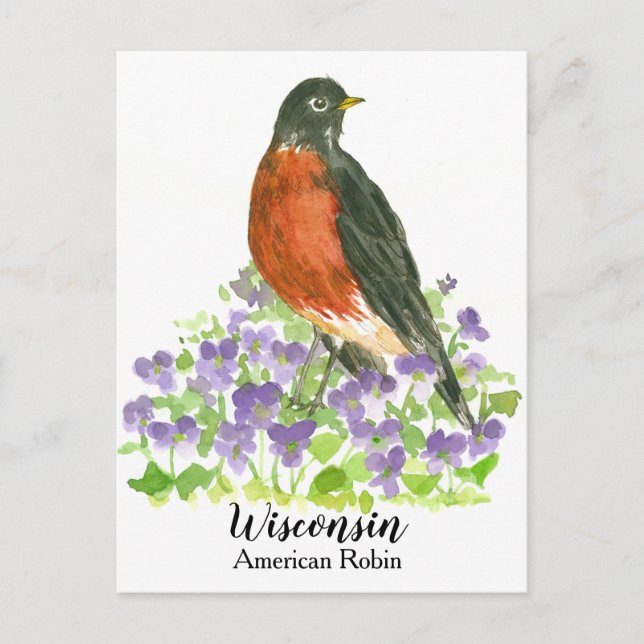 American Robin State Bird of Wisconsin Postcard (Front)