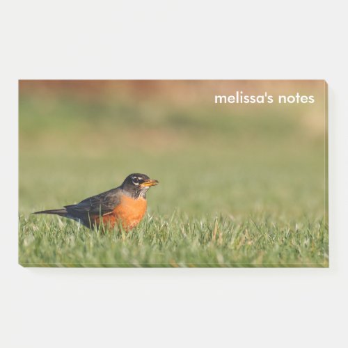 American Robin the Winter Grass Post_it Notes