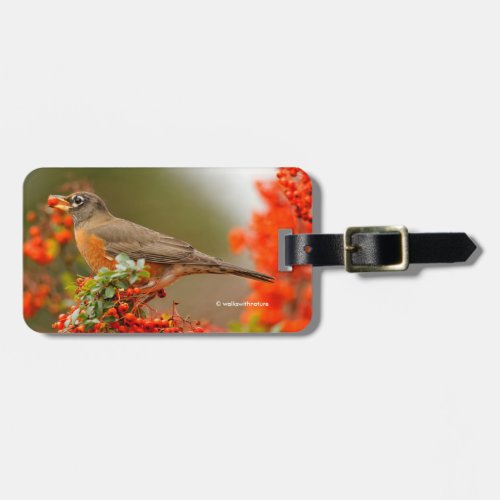 American Robin with a Pyracantha Pomme Luggage Tag