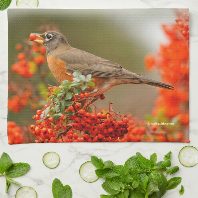 American Robin with a Pyracantha Pomme Towel (Folded)
