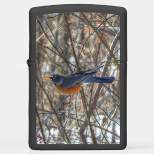 American Robin Zippo Lighter
