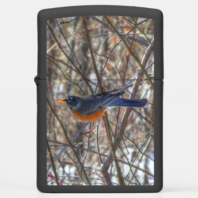 American Robin Zippo Lighter (Front)