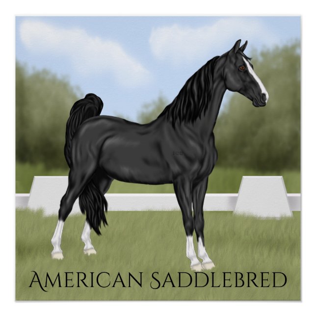 American Saddle-bred Horse Poster (Front)