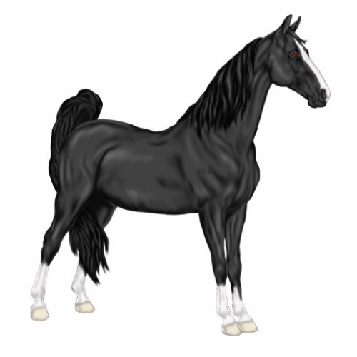 American Saddle_bred Horse Statuette