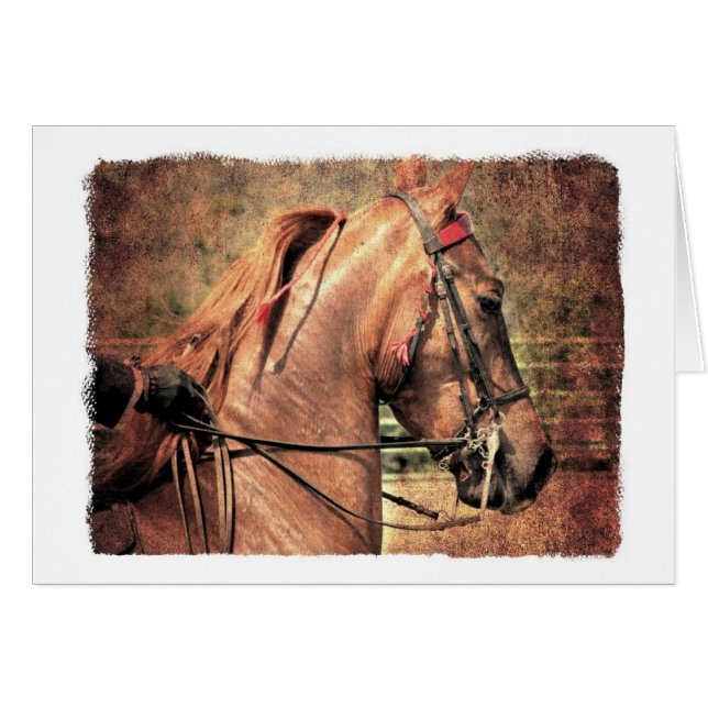 American Saddlebred (Front Horizontal)