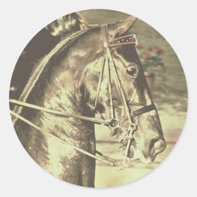 American Saddlebred Faux Vintage Classic Round Sticker (Front)