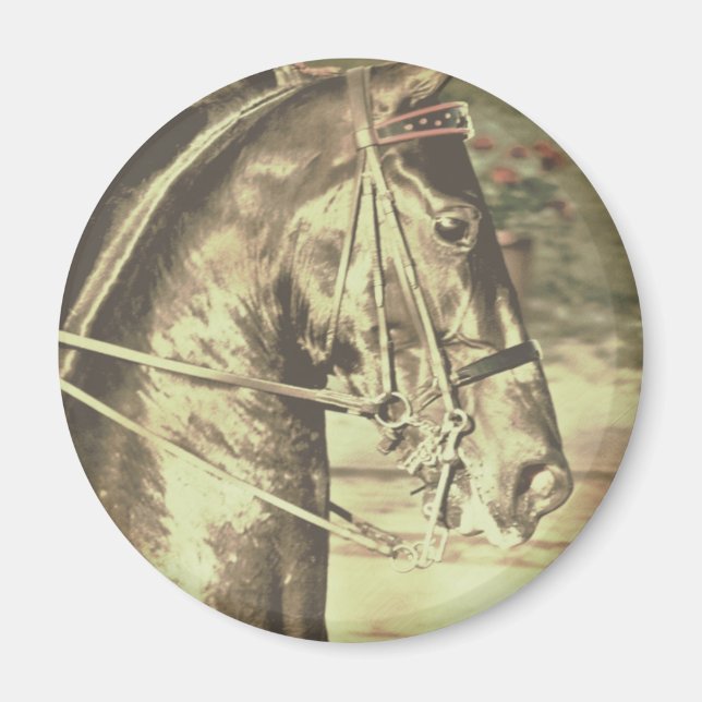 American Saddlebred Faux Vintage Magnet (Front)