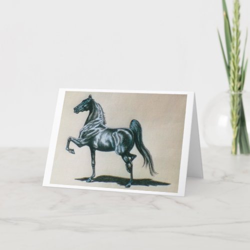 American Saddlebred Horse Blank Greeting Card