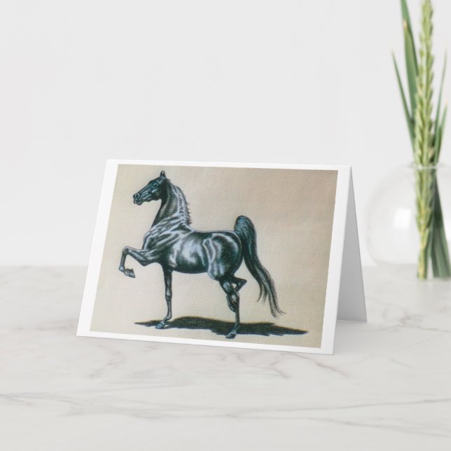 American Saddlebred Horse Blank Greeting Card (Front)