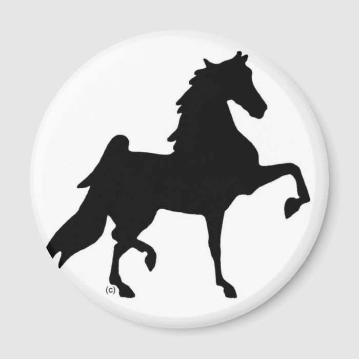 American Saddlebred Horse Magnets