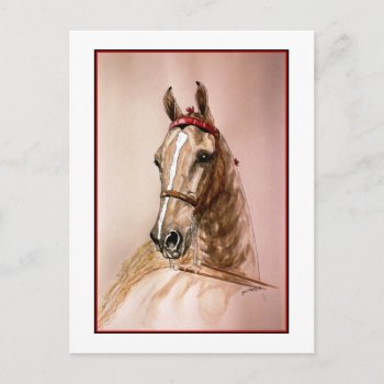 American Saddlebred Horse Postcard by GailRagsdaleArt at Zazzle