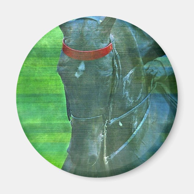 American Saddlebred Magnet (Front)
