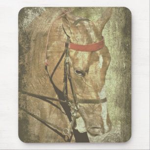 American Saddlebred Mouse Pad